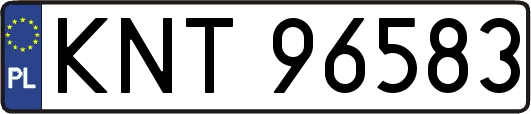 KNT96583