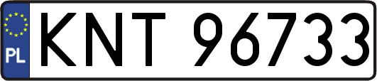 KNT96733