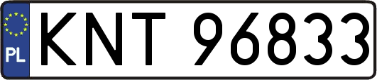 KNT96833