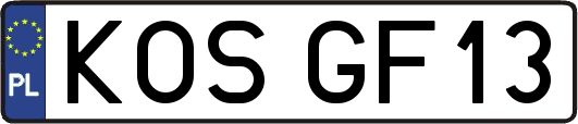 KOSGF13