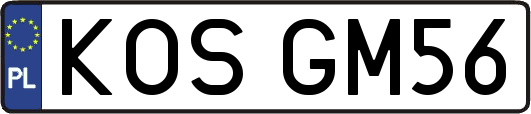 KOSGM56