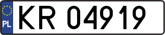 KR04919