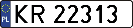 KR22313