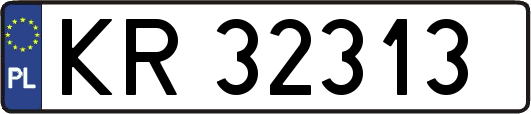 KR32313