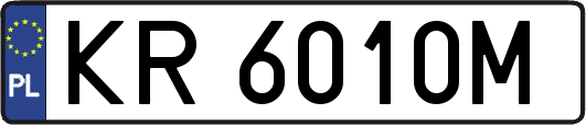 KR6010M