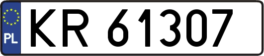 KR61307