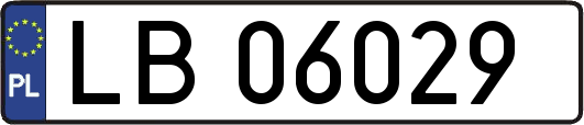 LB06029