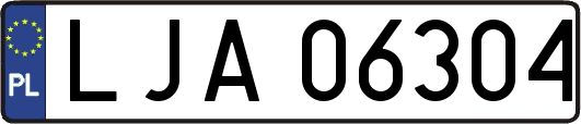 LJA06304