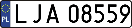 LJA08559