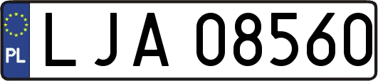 LJA08560