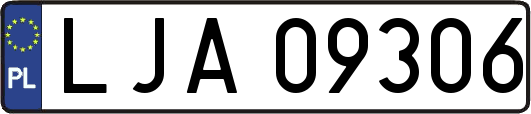 LJA09306