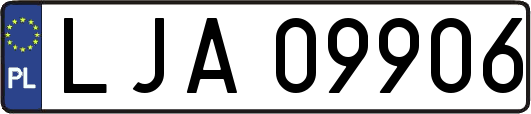 LJA09906