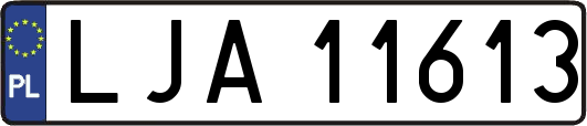 LJA11613