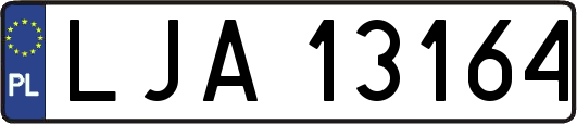 LJA13164