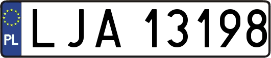 LJA13198