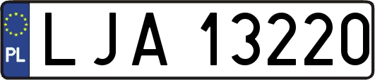 LJA13220