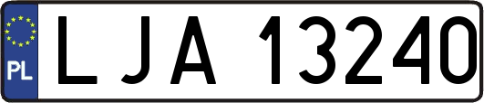 LJA13240