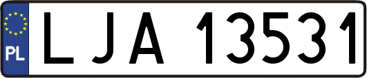 LJA13531