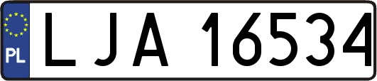 LJA16534