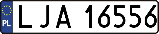 LJA16556