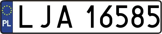 LJA16585