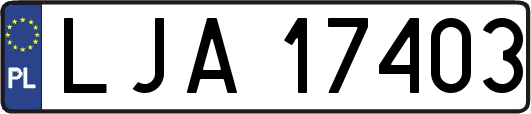 LJA17403