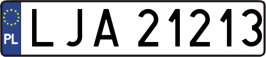 LJA21213