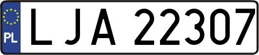 LJA22307