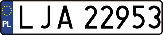 LJA22953