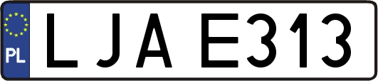 LJAE313