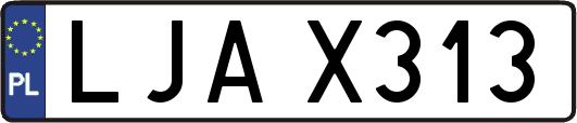 LJAX313