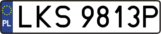 LKS9813P