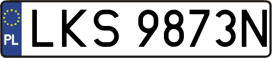 LKS9873N