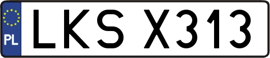 LKSX313