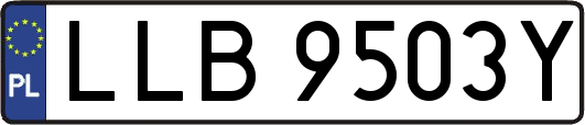 LLB9503Y