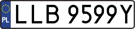 LLB9599Y