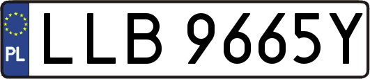 LLB9665Y