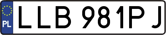 LLB981PJ