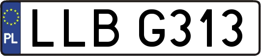LLBG313