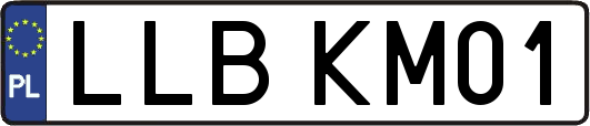 LLBKM01
