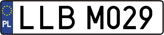 LLBM029