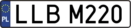 LLBM220