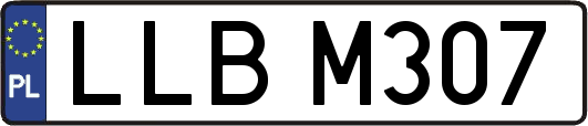 LLBM307