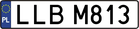 LLBM813