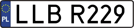 LLBR229