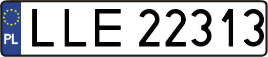 LLE22313