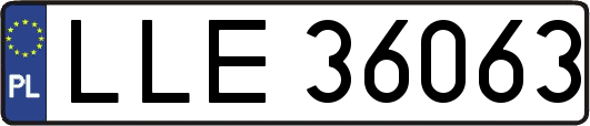 LLE36063
