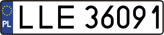 LLE36091