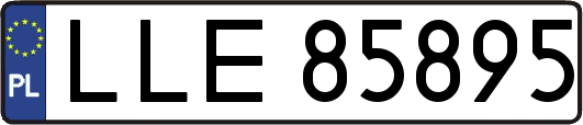 LLE85895