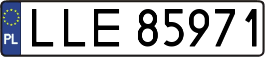 LLE85971